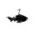 viTalisman Unisex Amulett Kettenanhänger maritim Fisch aus 925 Sterling Silber geschwärzt 37001